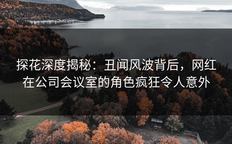 探花深度揭秘：丑闻风波背后，网红在公司会议室的角色疯狂令人意外