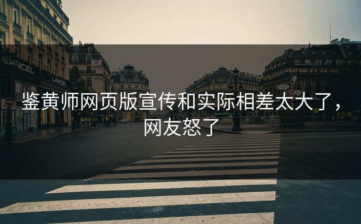 鉴黄师网页版宣传和实际相差太大了，网友怒了
