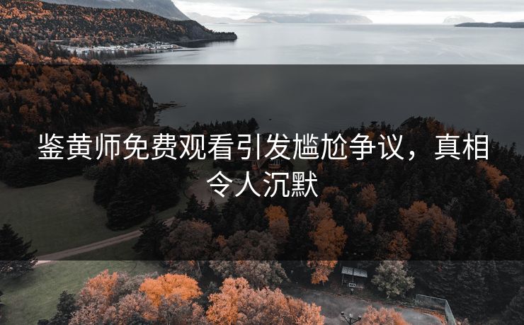 鉴黄师免费观看引发尴尬争议，真相令人沉默