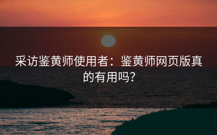 采访鉴黄师使用者：鉴黄师网页版真的有用吗？