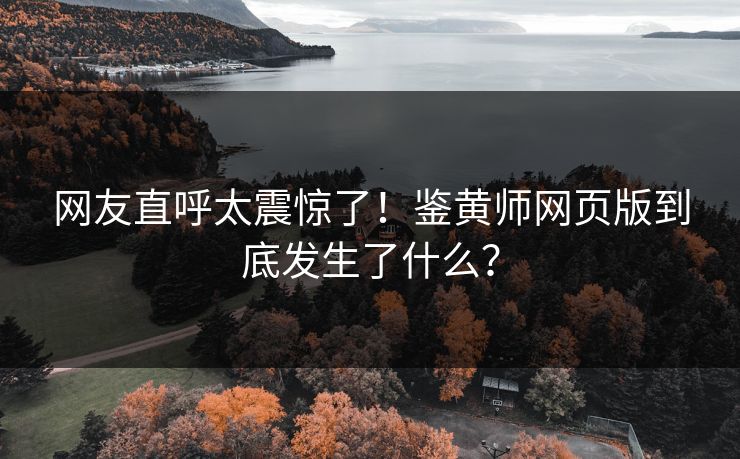 网友直呼太震惊了！鉴黄师网页版到底发生了什么？