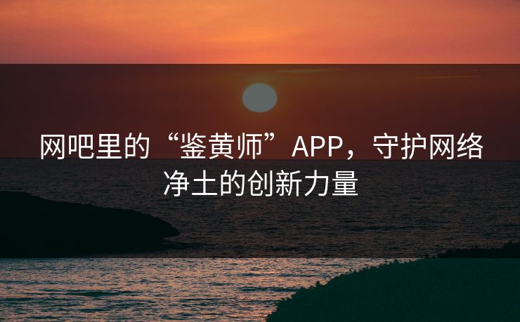 网吧里的“鉴黄师”APP，守护网络净土的创新力量