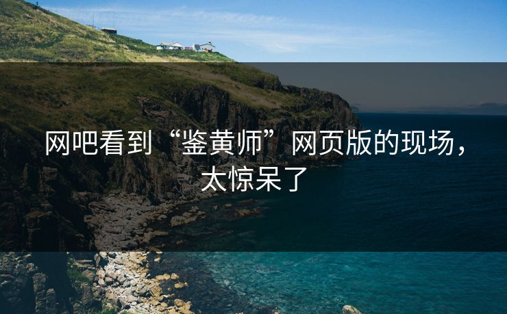 网吧看到“鉴黄师”网页版的现场，太惊呆了
