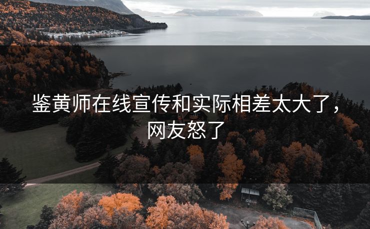 鉴黄师在线宣传和实际相差太大了，网友怒了