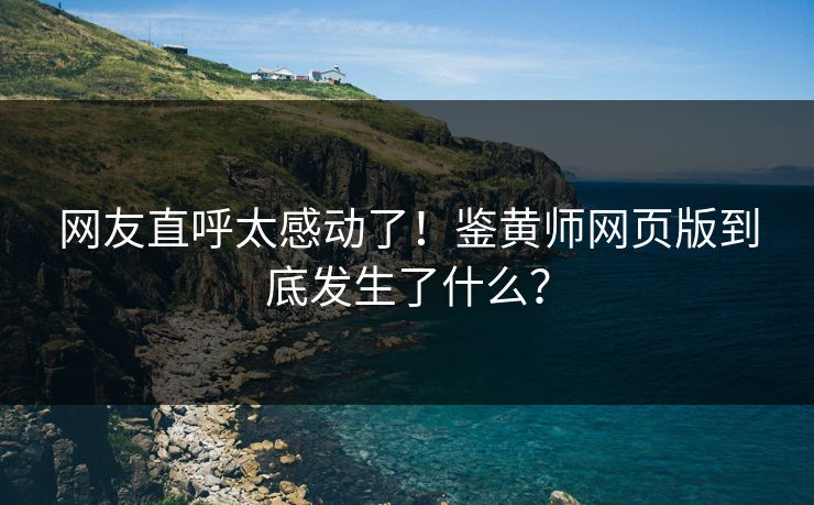 网友直呼太感动了！鉴黄师网页版到底发生了什么？