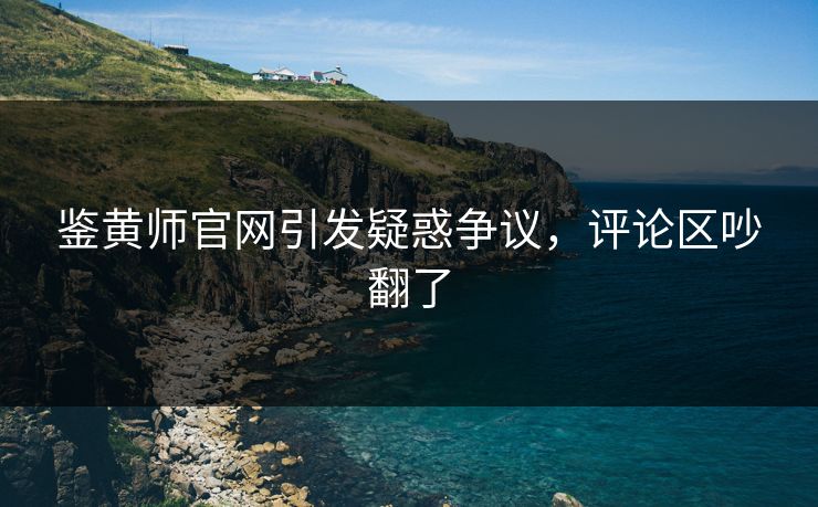鉴黄师官网引发疑惑争议，评论区吵翻了