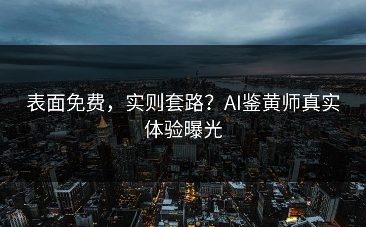 表面免费，实则套路？AI鉴黄师真实体验曝光