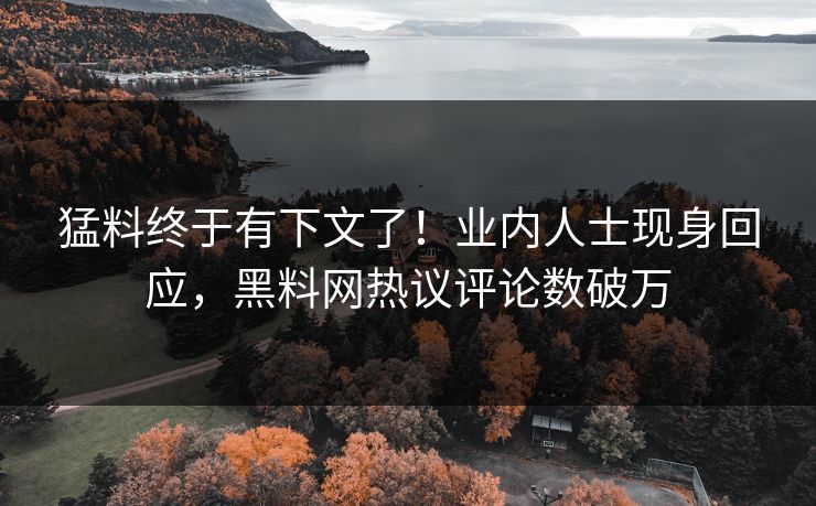 猛料终于有下文了！业内人士现身回应，黑料网热议评论数破万