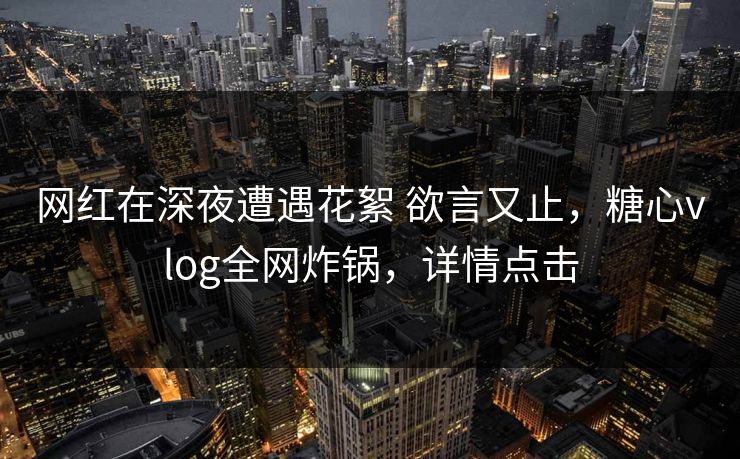 网红在深夜遭遇花絮 欲言又止，糖心vlog全网炸锅，详情点击